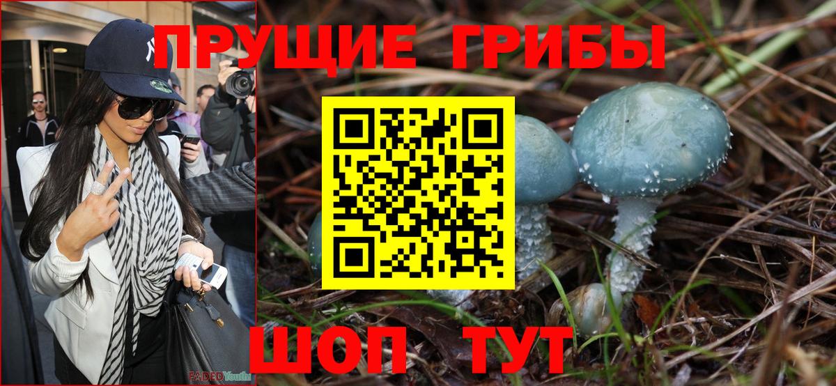 Псилоцибиновые грибы MAGIC MUSHROOMS  Вход с VPN  Псилоцибиновые грибы Cubensis  даркнет сайт  Находка 