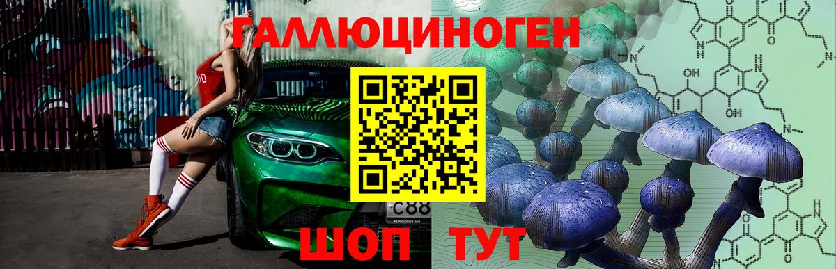 Псилоцибиновые грибы мицелий Находка